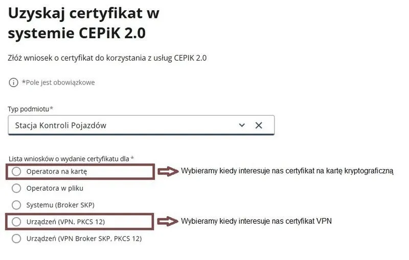Jak można sprawdzić prawo jazdy przez internet szybko i bezpiecznie
